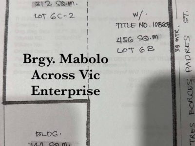 Prime Commercial Lot for Sale 912 sqm in Mabolo Cebu City