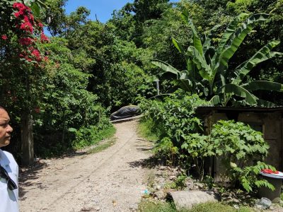 Overlooking Lot for sale 282 SQM Seaview Rare find in Quiot Pardo