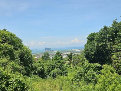Overlooking Lot for sale 282 SQM Seaview Rare find in Quiot Pardo