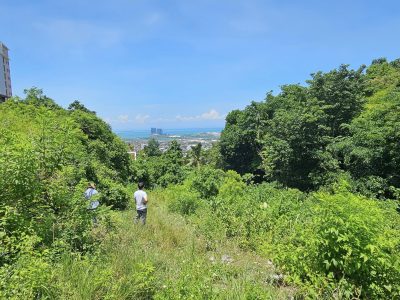 Overlooking Lot for sale 282 SQM Seaview Rare find in Quiot Pardo