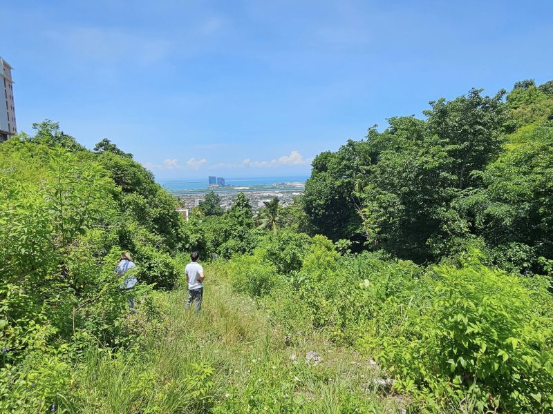 Overlooking Lot for sale 282 SQM Seaview Rare find in Quiot Pardo