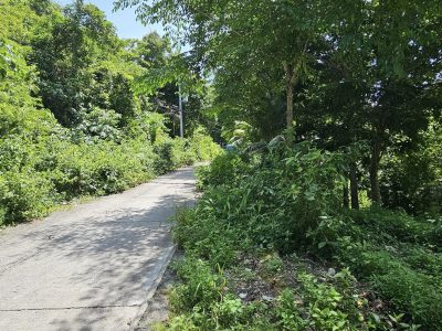 Overlooking Lot for sale 282 SQM Seaview Rare find in Quiot Pardo
