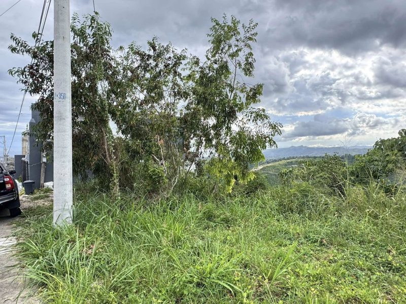 Residential Lot with Scenic Mountain View 157 SQM at Vista Grande by Sta. Lucia